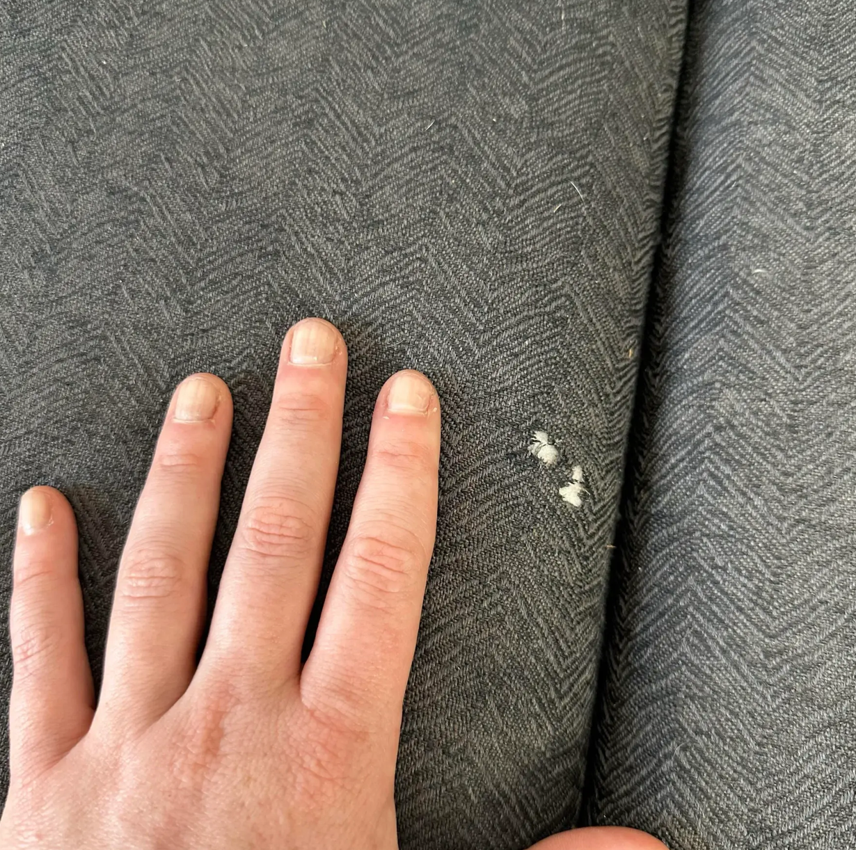 Mid Century Modern Dux Sofa