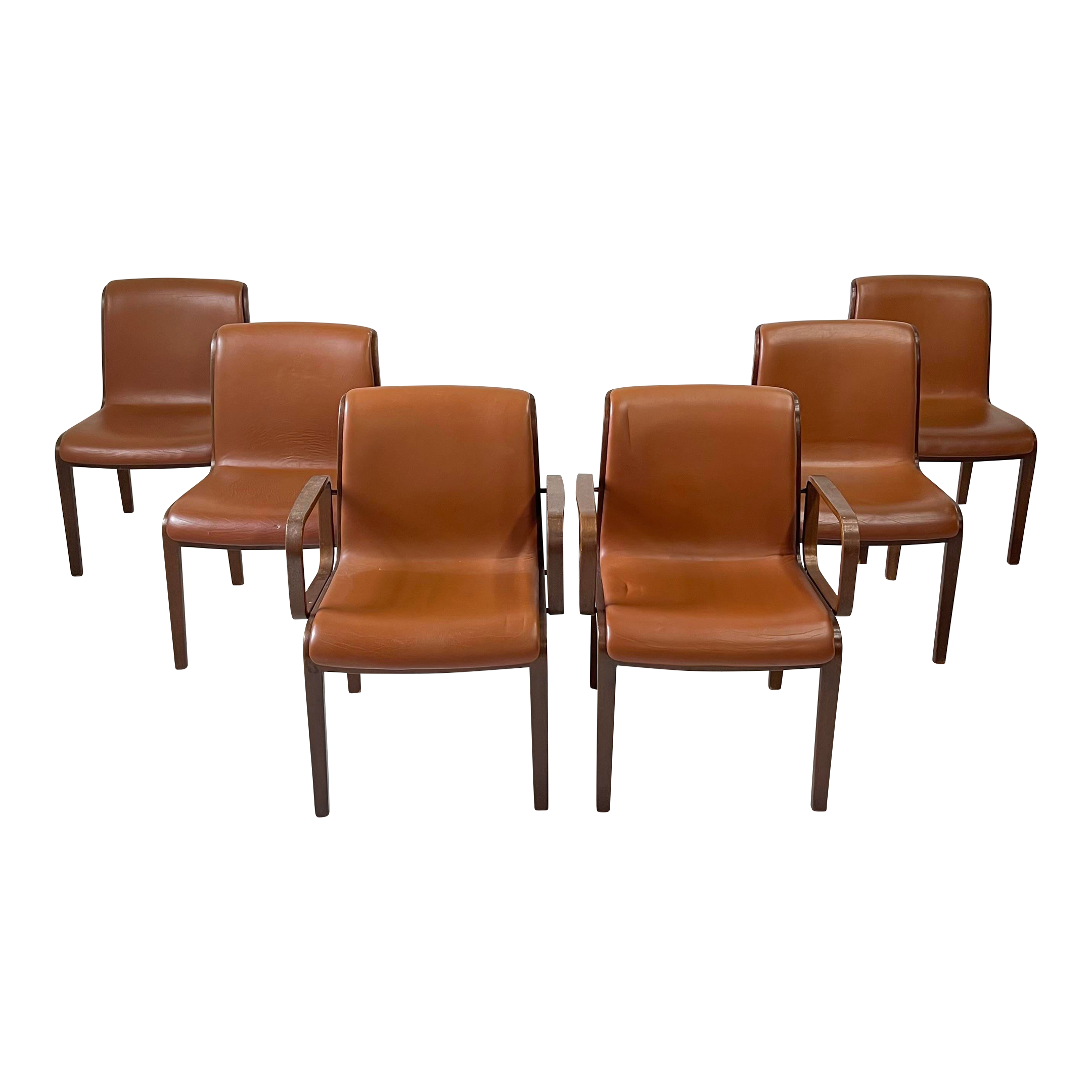 Bill Stephens for Knoll Leather and Bentwood Chairs Set of 6