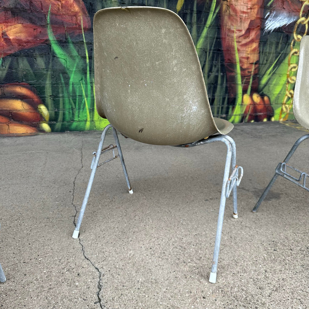 Gray Eames Shell Chairs for Herman Miller