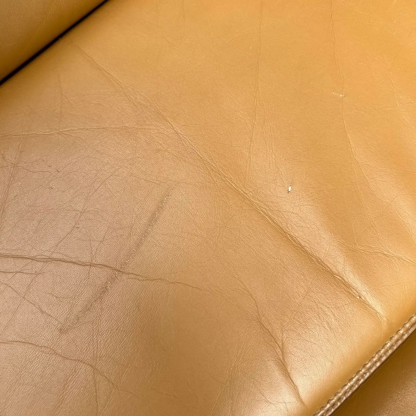 Leather and Rattan Chrome Cantaliver Side Chair Office