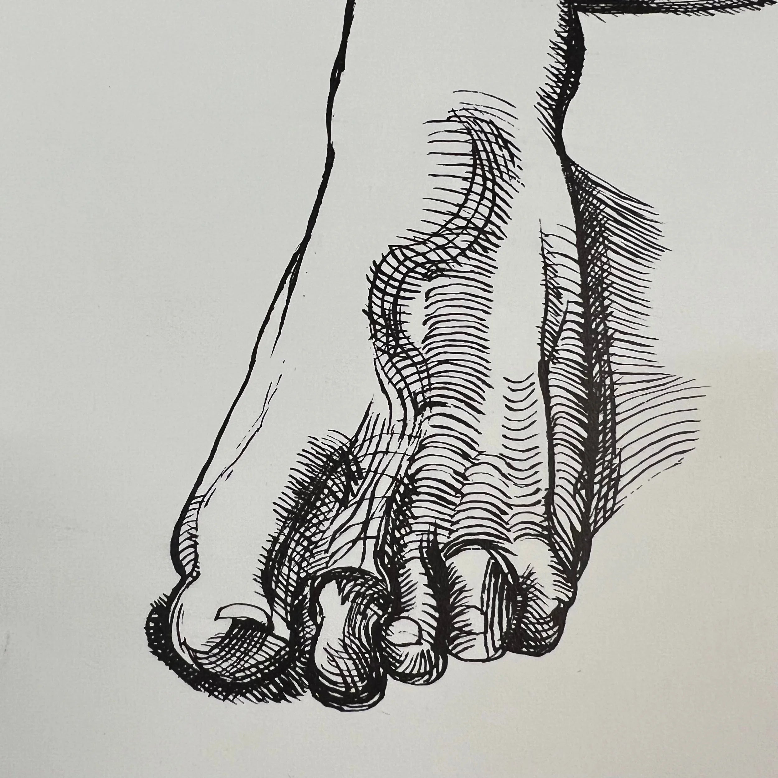 Lucian Freud 1974 Hayward Gallery Exhibition Poster