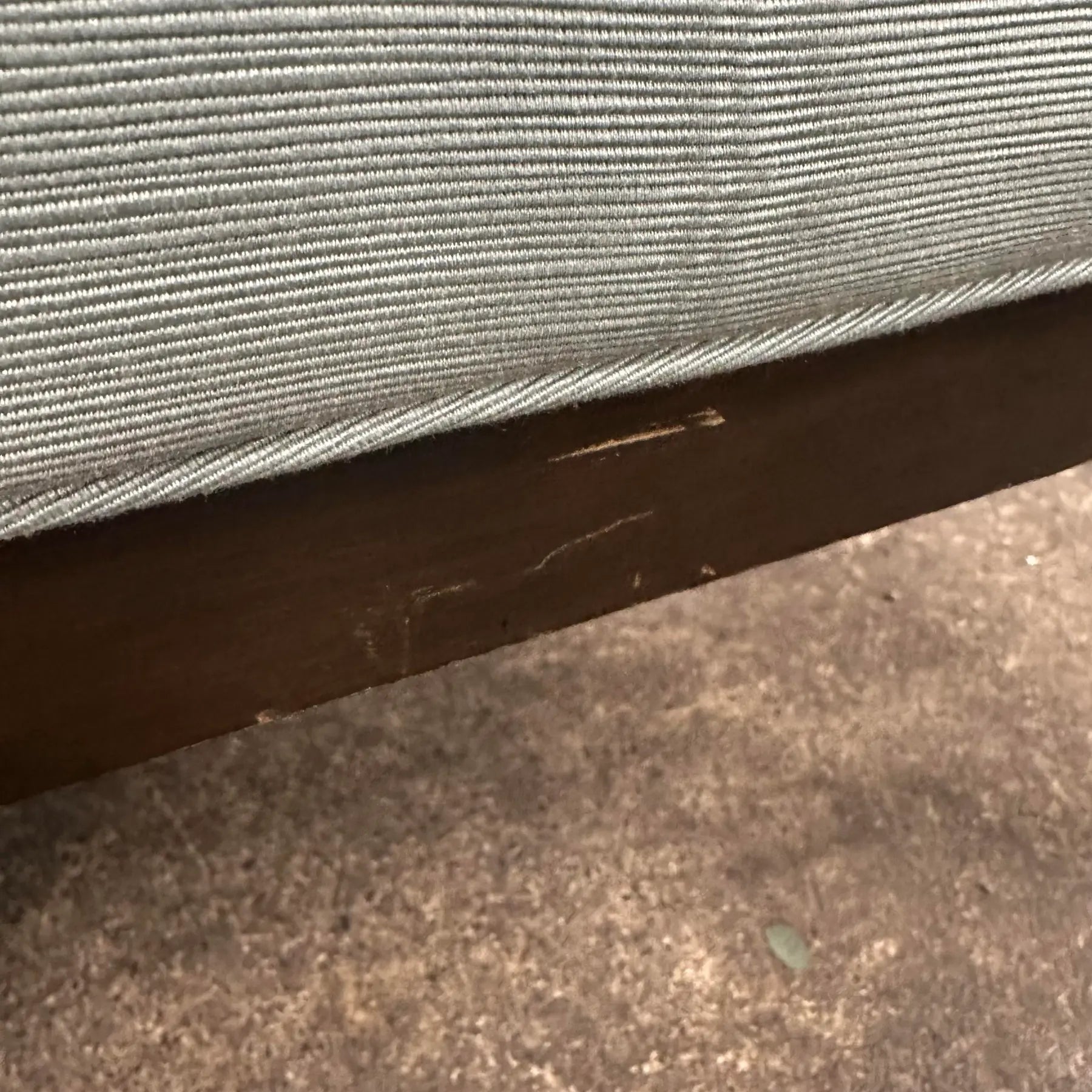Pair of Kipp Stewart for Directional Barrel Chair on Casters