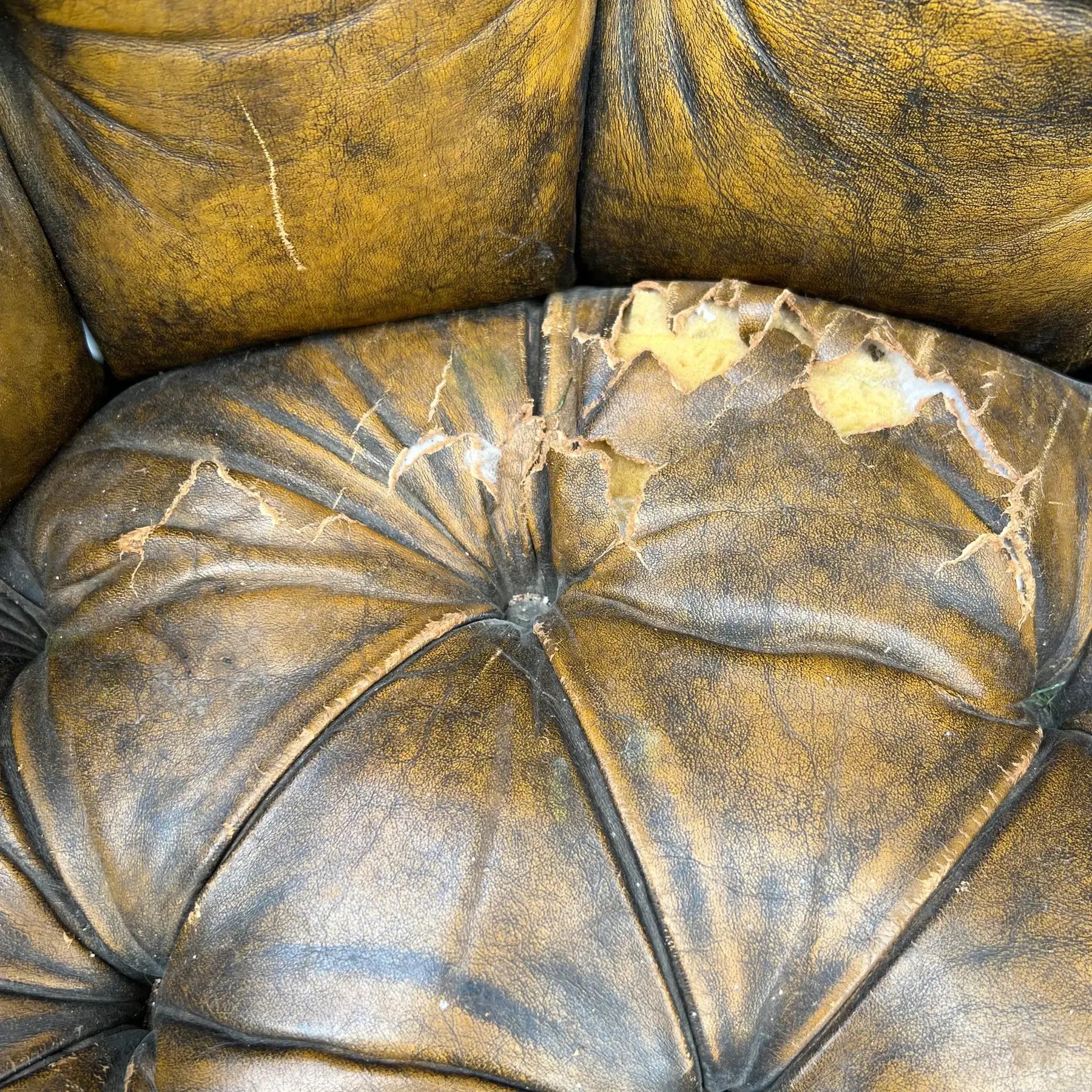 Pair of Ward Bennett Brown Leather Chairs on Casters