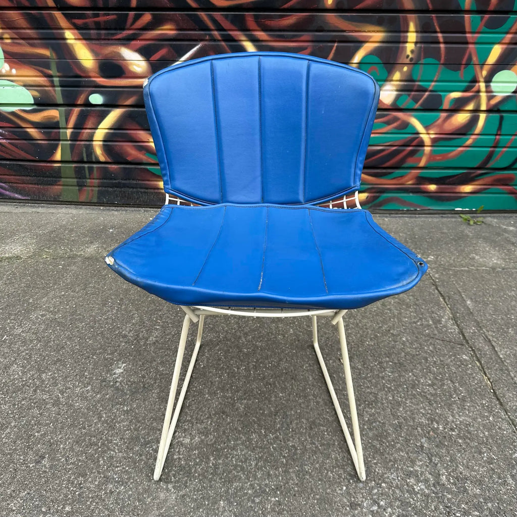 Set of 5 Harry Bertoia for Knoll Side Chairs