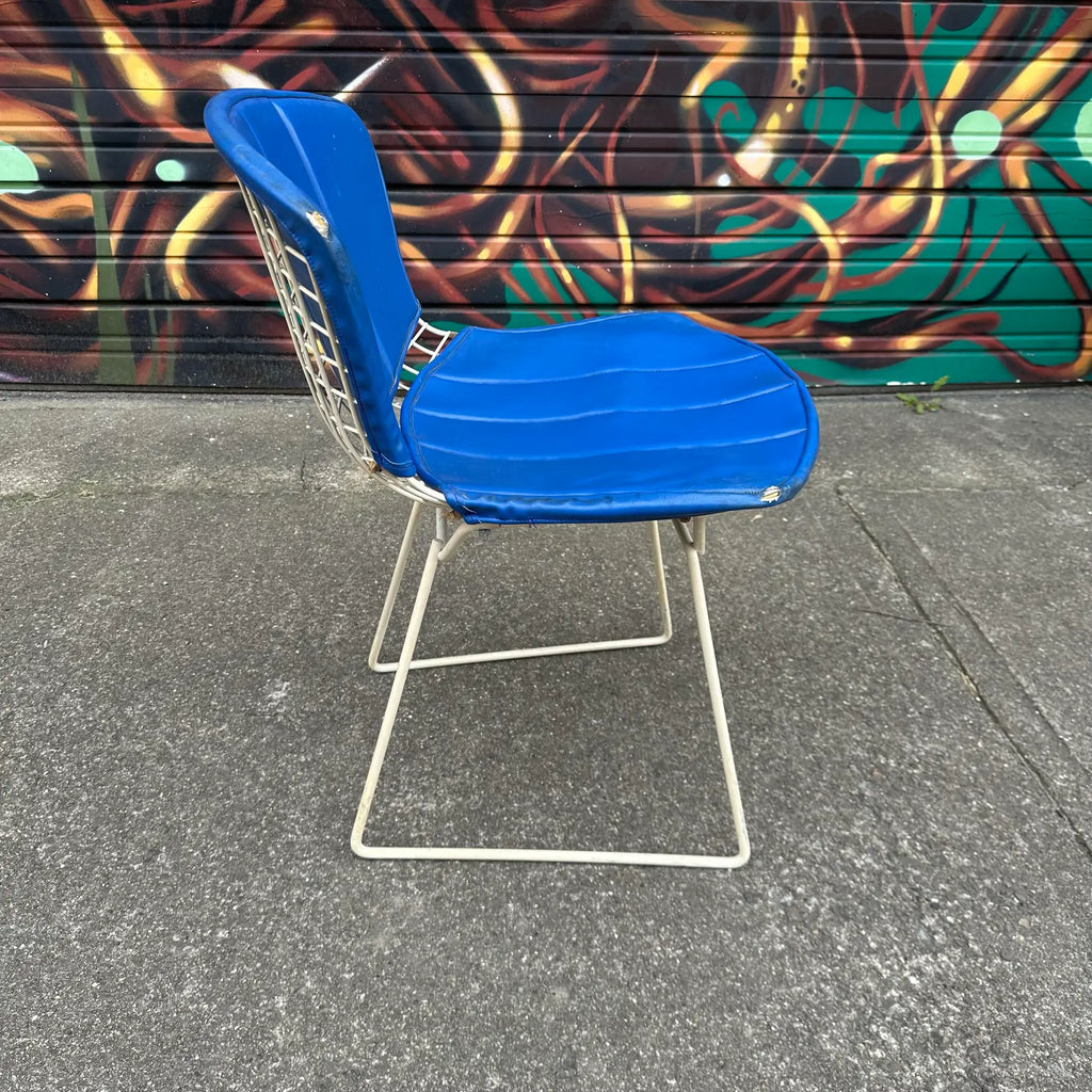 Set of 5 Harry Bertoia for Knoll Side Chairs