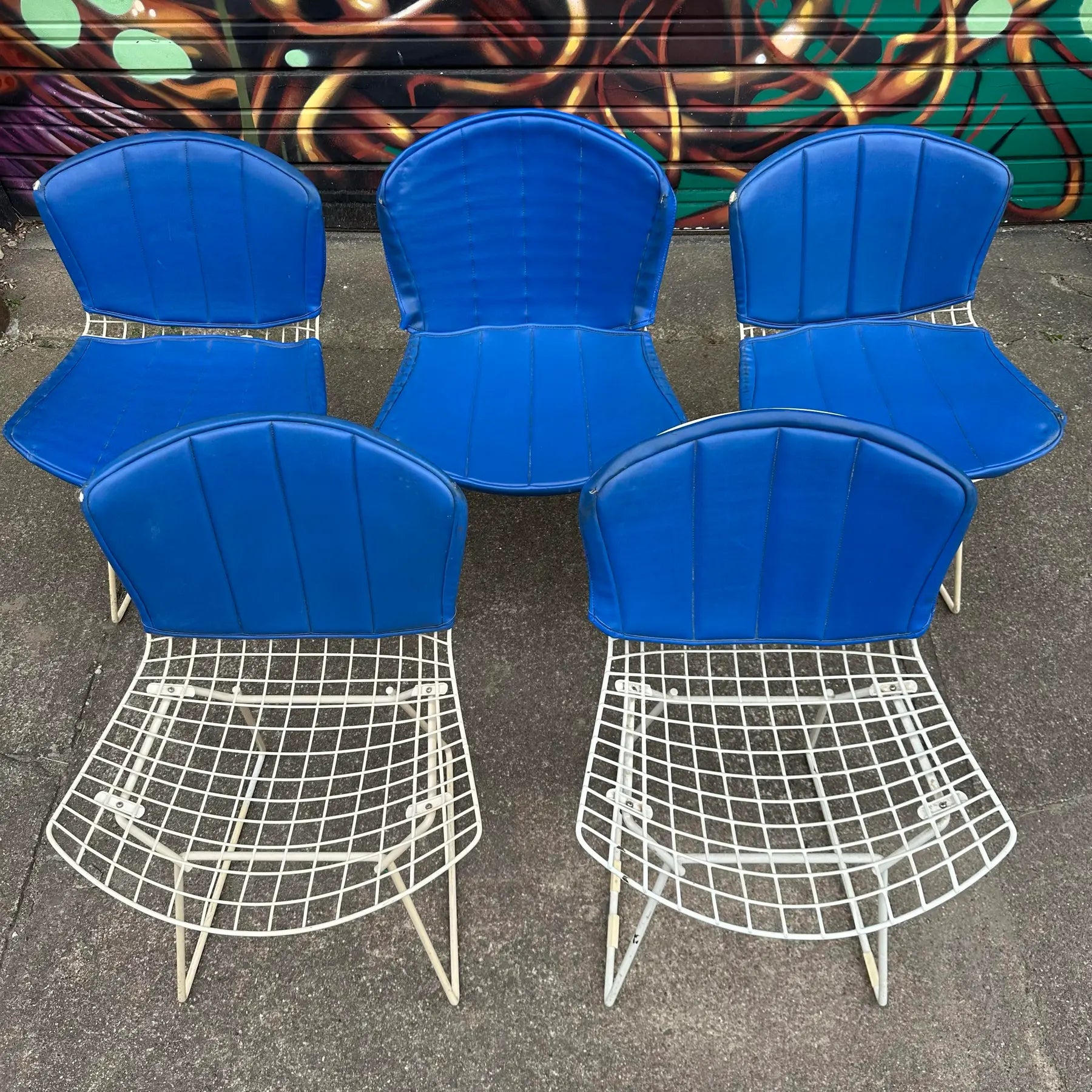 Set of 5 Harry Bertoia for Knoll Side Chairs