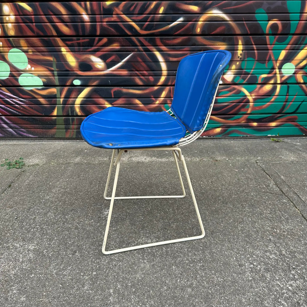 Set of 5 Harry Bertoia for Knoll Side Chairs