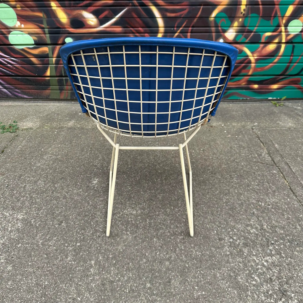 Set of 5 Harry Bertoia for Knoll Side Chairs
