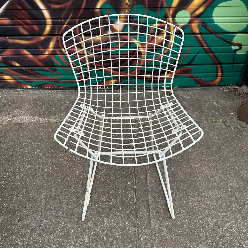 Set of 5 Harry Bertoia for Knoll Side Chairs