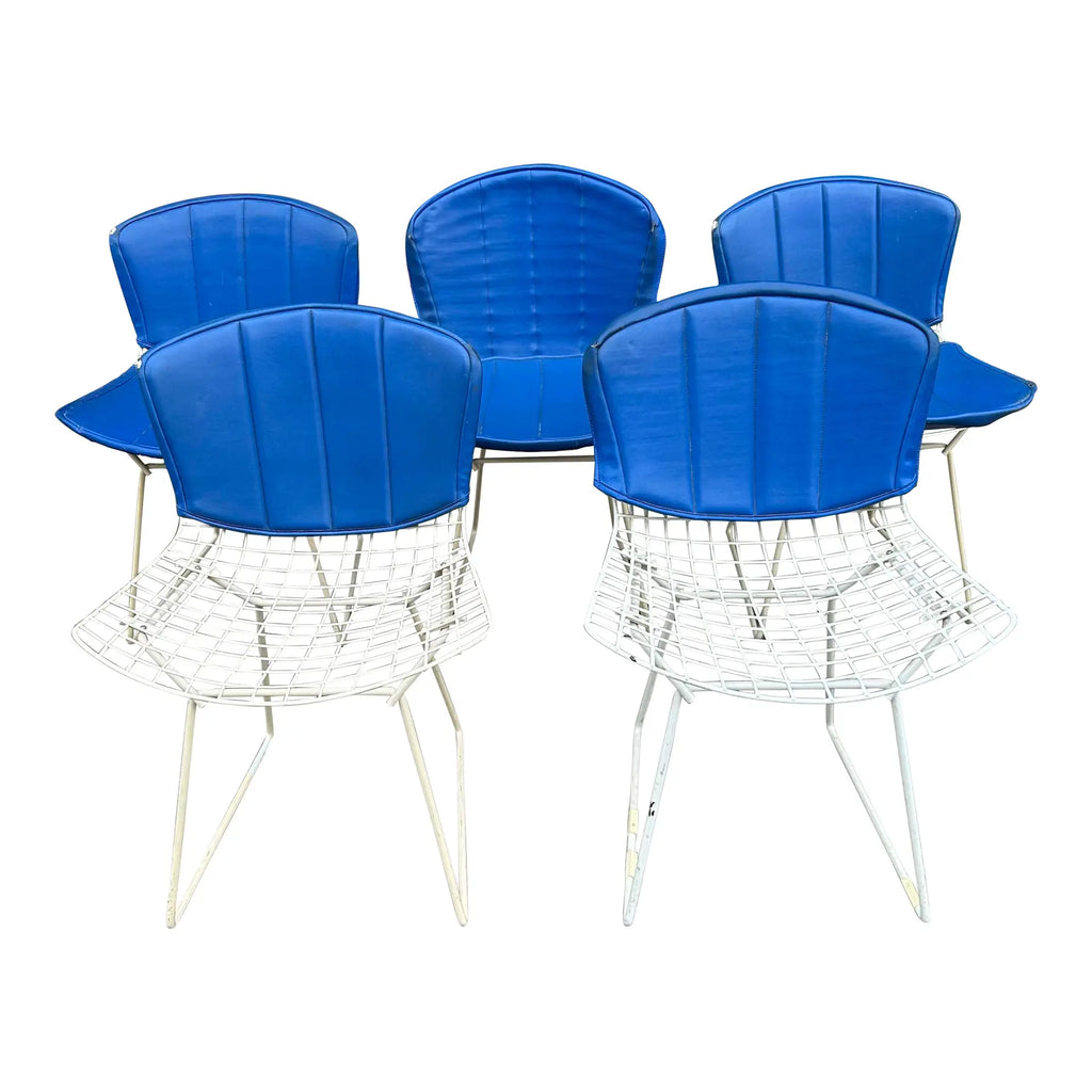 Set of 5 Harry Bertoia for Knoll Side Chairs